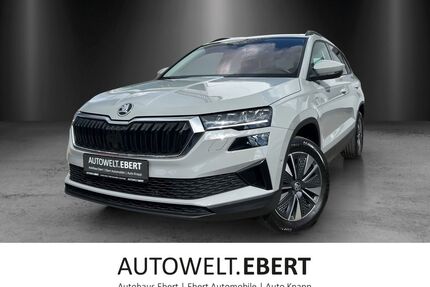 Skoda Karoq Gebrauchtwagen
