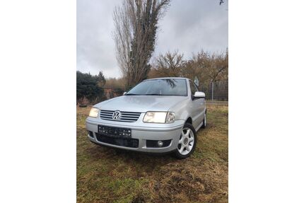 VW Polo Gebrauchtwagen