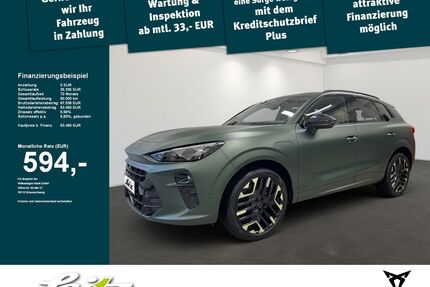 Cupra Terramar Gebrauchtwagen