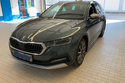 Skoda Octavia Gebrauchtwagen