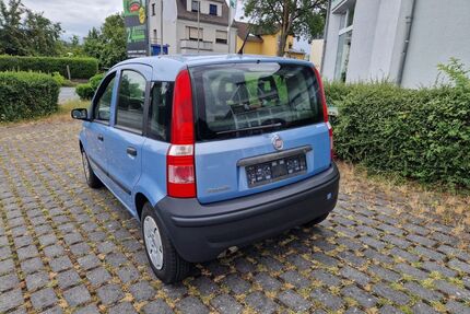 Fiat Panda Gebrauchtwagen
