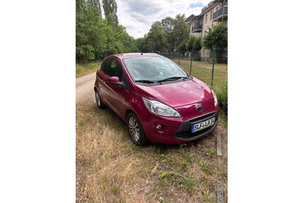 Ford Ka/Ka+ Gebrauchtwagen