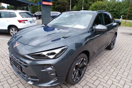 Cupra Terramar Gebrauchtwagen