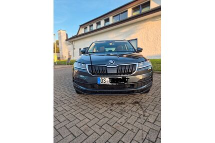 Skoda Karoq Gebrauchtwagen