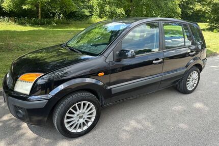 Ford Fusion Gebrauchtwagen