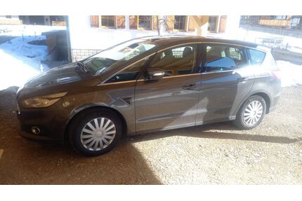 Ford S-Max Gebrauchtwagen