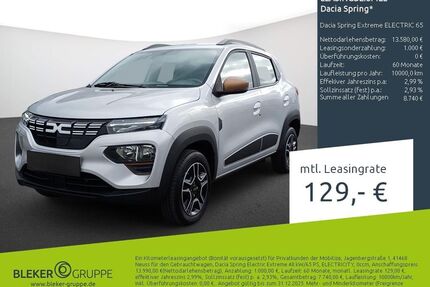 Dacia Spring Gebrauchtwagen