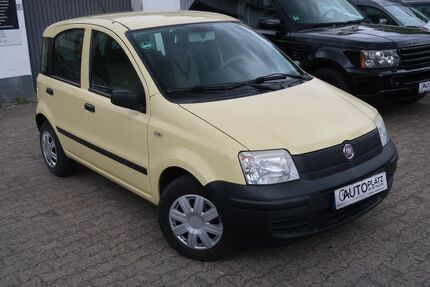 Fiat Panda Gebrauchtwagen