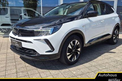 Opel Grandland (X) Gebrauchtwagen