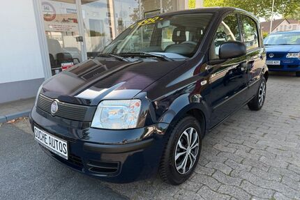 Fiat Panda Gebrauchtwagen