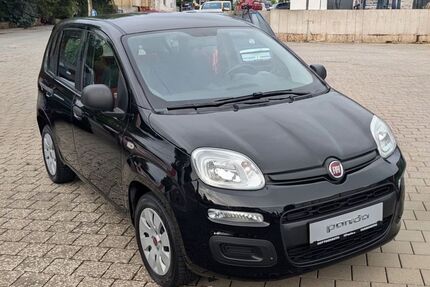 Fiat Panda Gebrauchtwagen