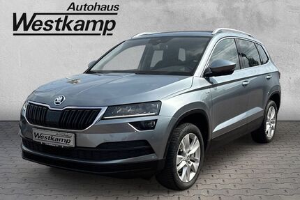 Skoda Karoq Gebrauchtwagen