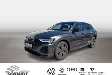 Audi Q8 e-tron Gebrauchtwagen