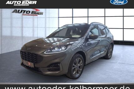 Ford Kuga Gebrauchtwagen