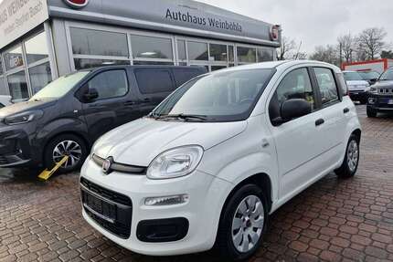 Fiat Panda Gebrauchtwagen
