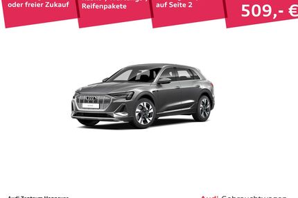 Audi e-tron Gebrauchtwagen