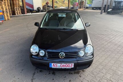 VW Polo Gebrauchtwagen