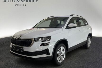 Skoda Karoq Gebrauchtwagen