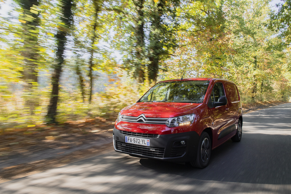 Berlingo