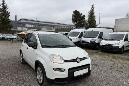 Fiat Panda Gebrauchtwagen