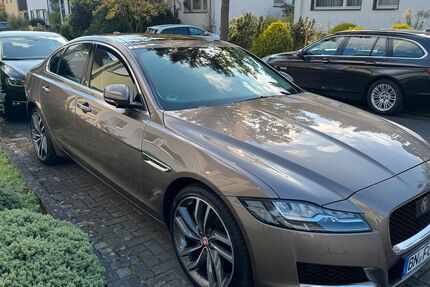 Jaguar XF Gebrauchtwagen