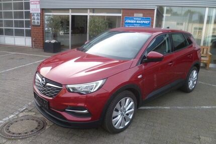 Opel Grandland (X) Gebrauchtwagen