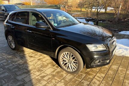 Audi Q5 Gebrauchtwagen