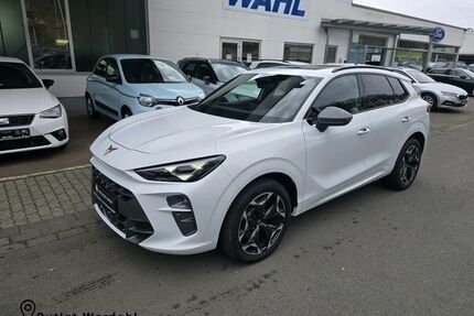 Cupra Terramar Gebrauchtwagen