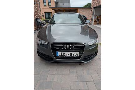 Audi A5 Gebrauchtwagen