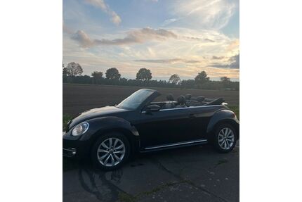 VW Beetle Gebrauchtwagen