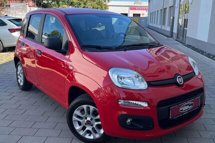Fiat Panda Gebrauchtwagen