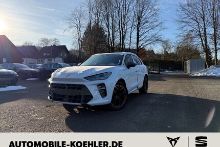 Cupra Terramar Gebrauchtwagen