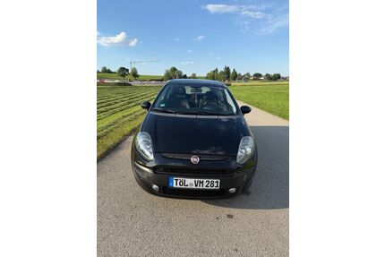 Fiat Punto Evo Gebrauchtwagen