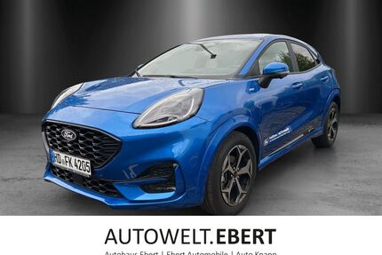 Ford Puma Gebrauchtwagen