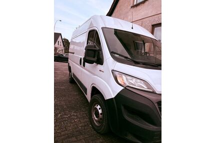 Fiat Ducato Gebrauchtwagen