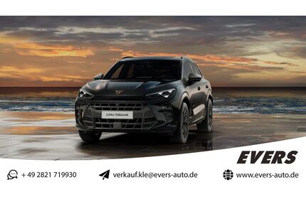 Cupra Terramar Gebrauchtwagen