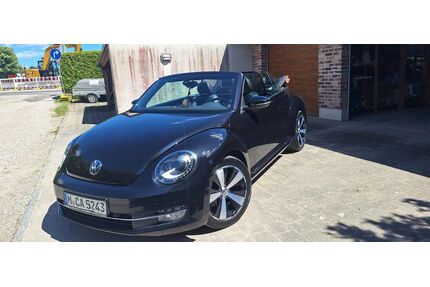 VW Beetle Gebrauchtwagen