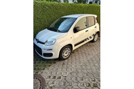Fiat New Panda Gebrauchtwagen