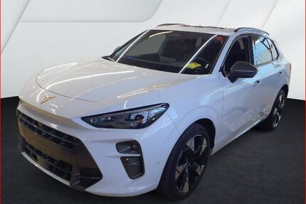 Cupra Terramar Gebrauchtwagen