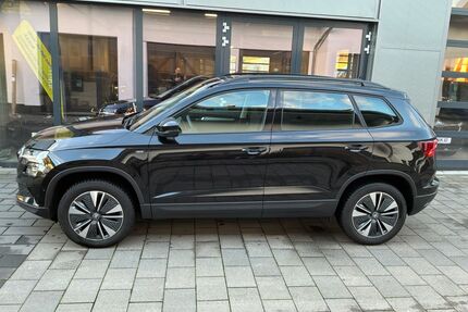 Skoda Karoq Gebrauchtwagen