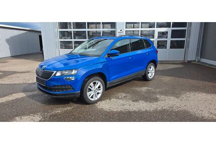 Skoda Karoq Gebrauchtwagen