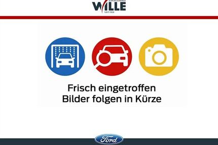 Ford Mustang Gebrauchtwagen