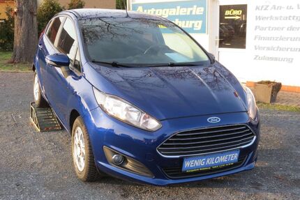 Ford Fiesta Gebrauchtwagen
