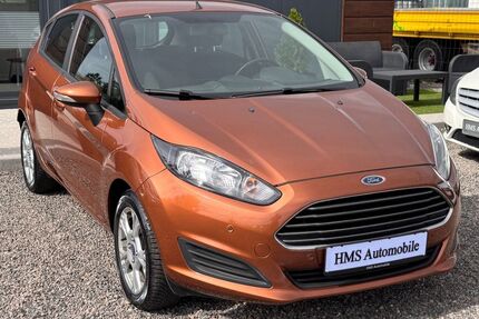 Ford Fiesta Gebrauchtwagen