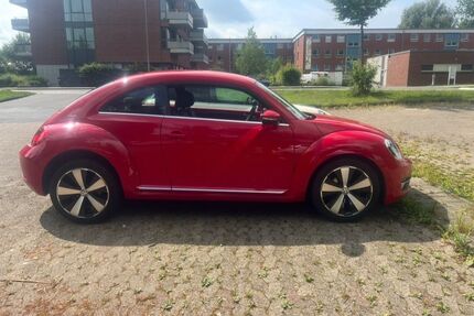 VW Beetle Gebrauchtwagen