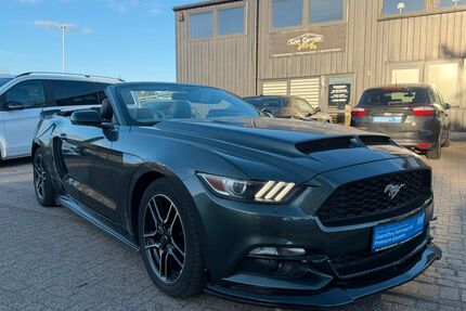 Ford Mustang Gebrauchtwagen