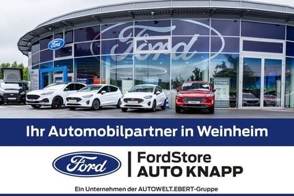 Ford Tourneo Custom Gebrauchtwagen