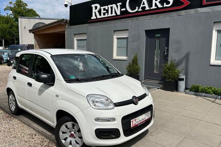 Fiat Panda Gebrauchtwagen