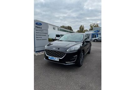 Ford Kuga Gebrauchtwagen