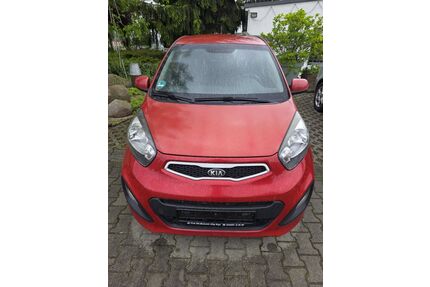 Kia Picanto Gebrauchtwagen